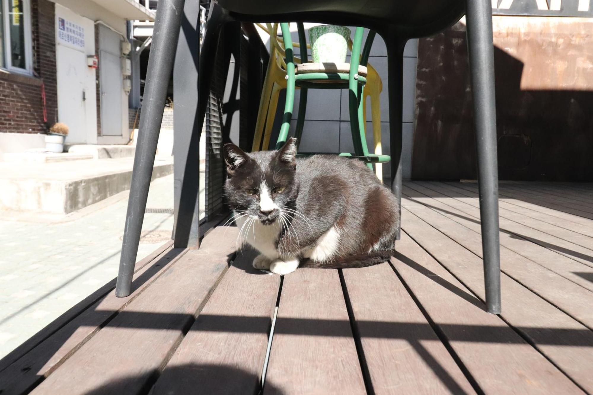 Hah Guesthouse Seoul Exterior photo